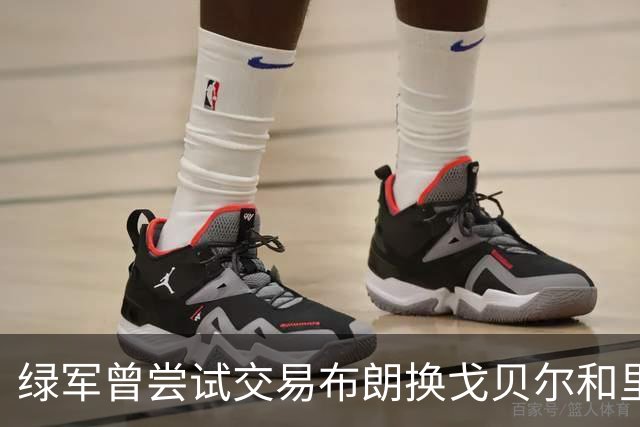 绿军曾尝试交易布朗换戈贝尔和里德，但遭森林狼拒绝
