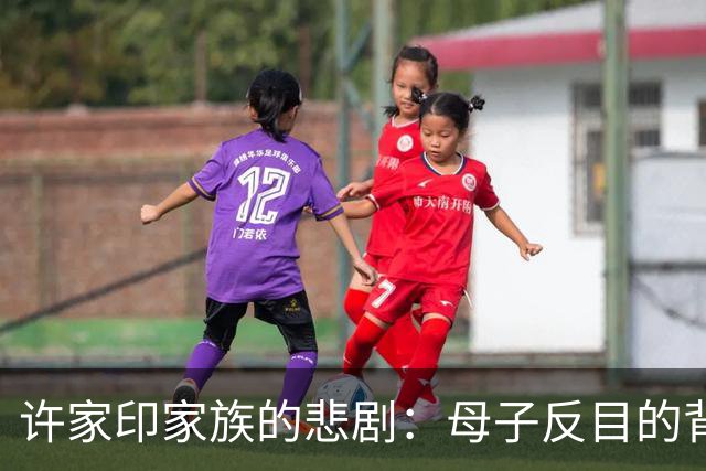 许家印家族的悲剧：母子反目的背后，最无辜的是他们